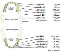 Wisselschema