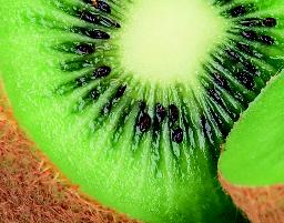 Kiwi